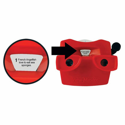 Viewmaster Boxed Set - US 2248