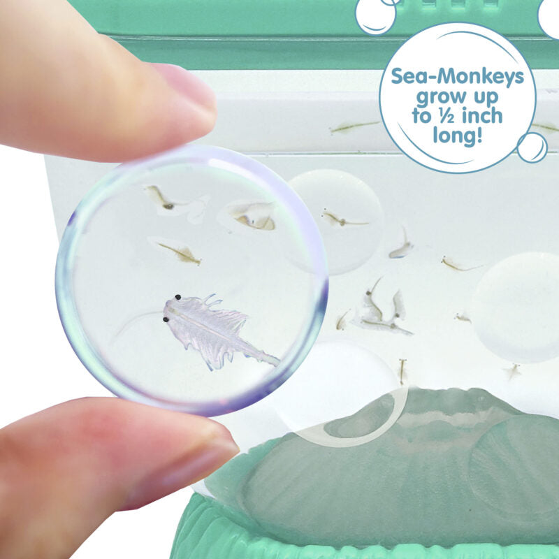Sea-Monkeys Ocean Volcano - US 9981
